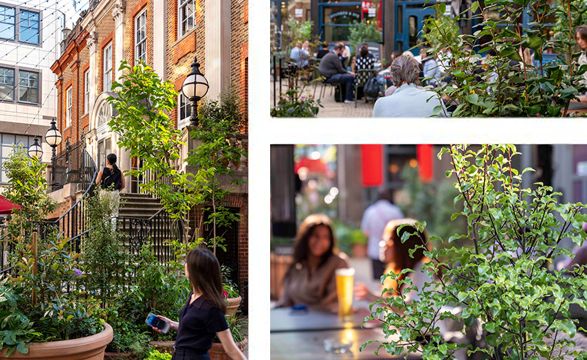 Bradmore Square grid of images 8