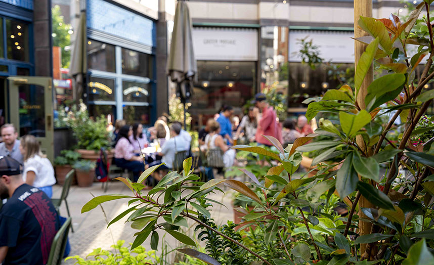 Bradmore Square grid of images 9