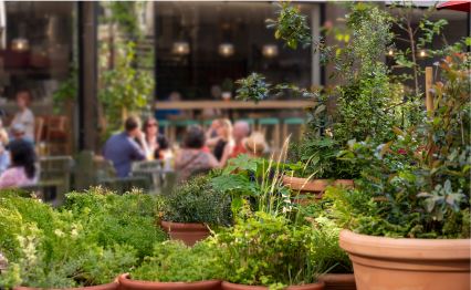 Bradmore Square grid of images 5